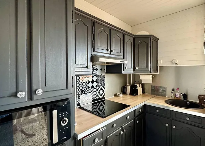 4 Pers Avec Terrasse, Clim, Parking A 200m De La - Fr-1-529-30